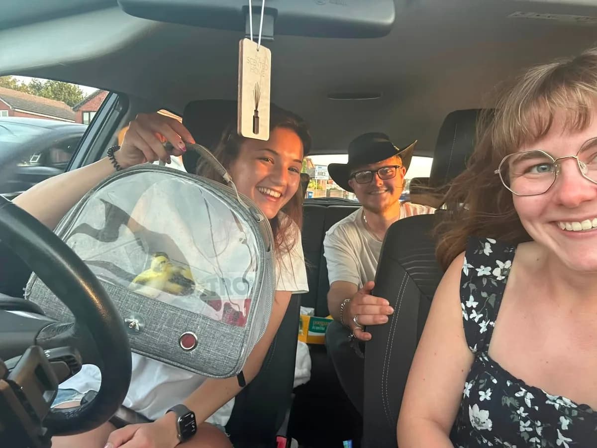 Aviary staff with a bird carrier in a car
